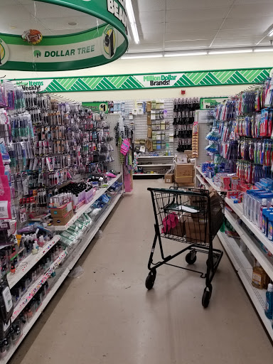 Dollar Store «Dollar Tree», reviews and photos, 2305 Colorado Blvd, Denton, TX 76205, USA