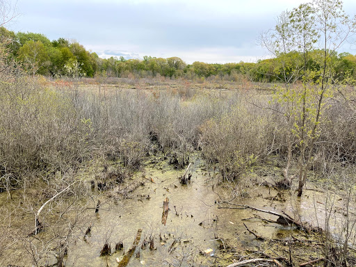 Nature Preserve «Mud Lake Bog Nature Preserve», reviews and photos, 905 E Elm Valley Rd, Buchanan, MI 49107, USA