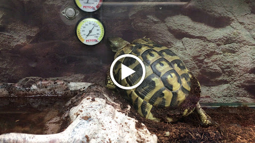 Pet Supply Store «Petco Animal Supplies», reviews and photos, 11331 W Broad St #151, Glen Allen, VA 23060, USA