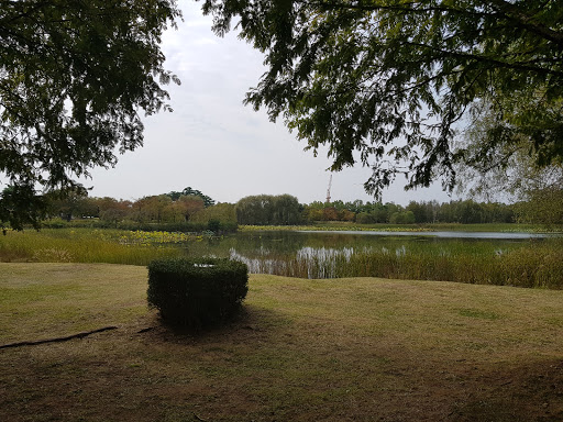 Ilsan Lake Park