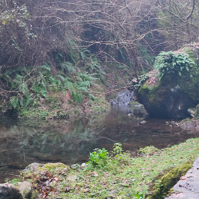 Source d'eau férrigineuse 