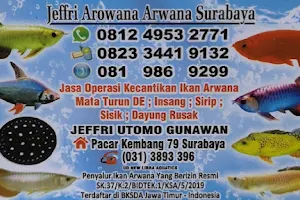 Jeffri Arwana Arowana Surabaya image