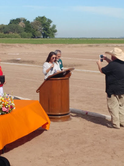 Campo de Fútbol - Villa Juárez