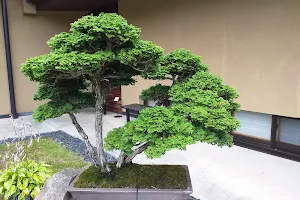 Omiya Bonsai Village image