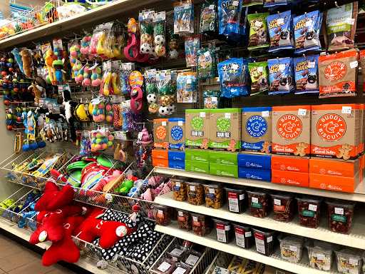 Home Goods Store «Christmas Tree Shops», reviews and photos, 100 Cypress St, Williston, VT 05495, USA