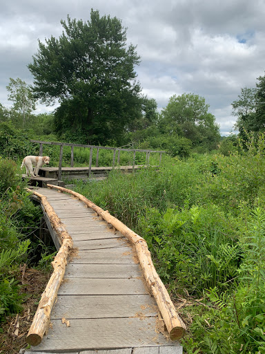 Nature Preserve «Macricostas Preserve», reviews and photos, 121 Christian St, New Preston, CT 06777, USA
