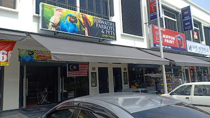 Ilawathi Parrots and Pet Shop & Aquarium