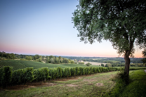 Domaine Haut Marin & Ménard | SARL Ménard à Gondrin