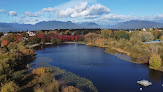 Trout Lake Beach