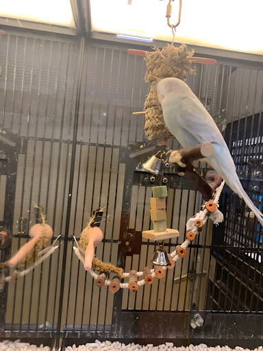 Pet Supply Store «PetSmart», reviews and photos, 20530 E 13 Mile Rd, Roseville, MI 48066, USA