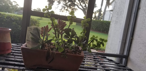 Golf Club «Meadowood Golf and Tennis Club», reviews and photos, 9425 Meadowood Dr, Fort Pierce, FL 34951, USA