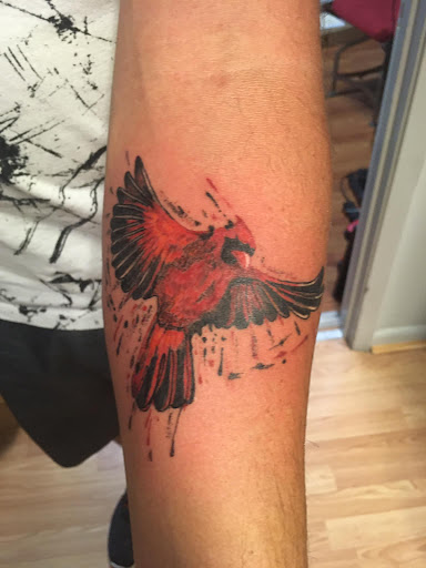 Explore httyd tattoo ideas, creative tattoo ideas in Jonesboro, available at Immortal Ink