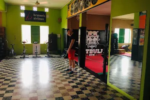 Pitbull Gym image