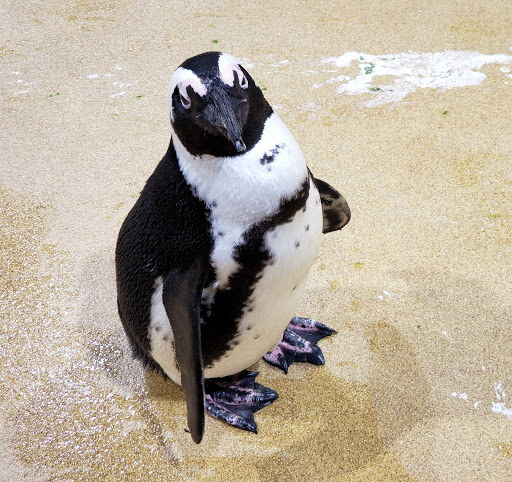 Aquarium «Newport Aquarium», reviews and photos, 1 Aquarium Way, Newport, KY 41071, USA