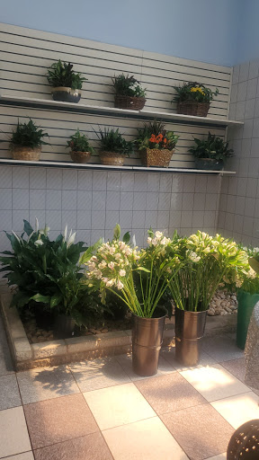 Florist «International Florist Gift Shop & Fruit Baskets Inc.», reviews and photos, 283-87 Lafayette St, Newark, NJ 07105, USA