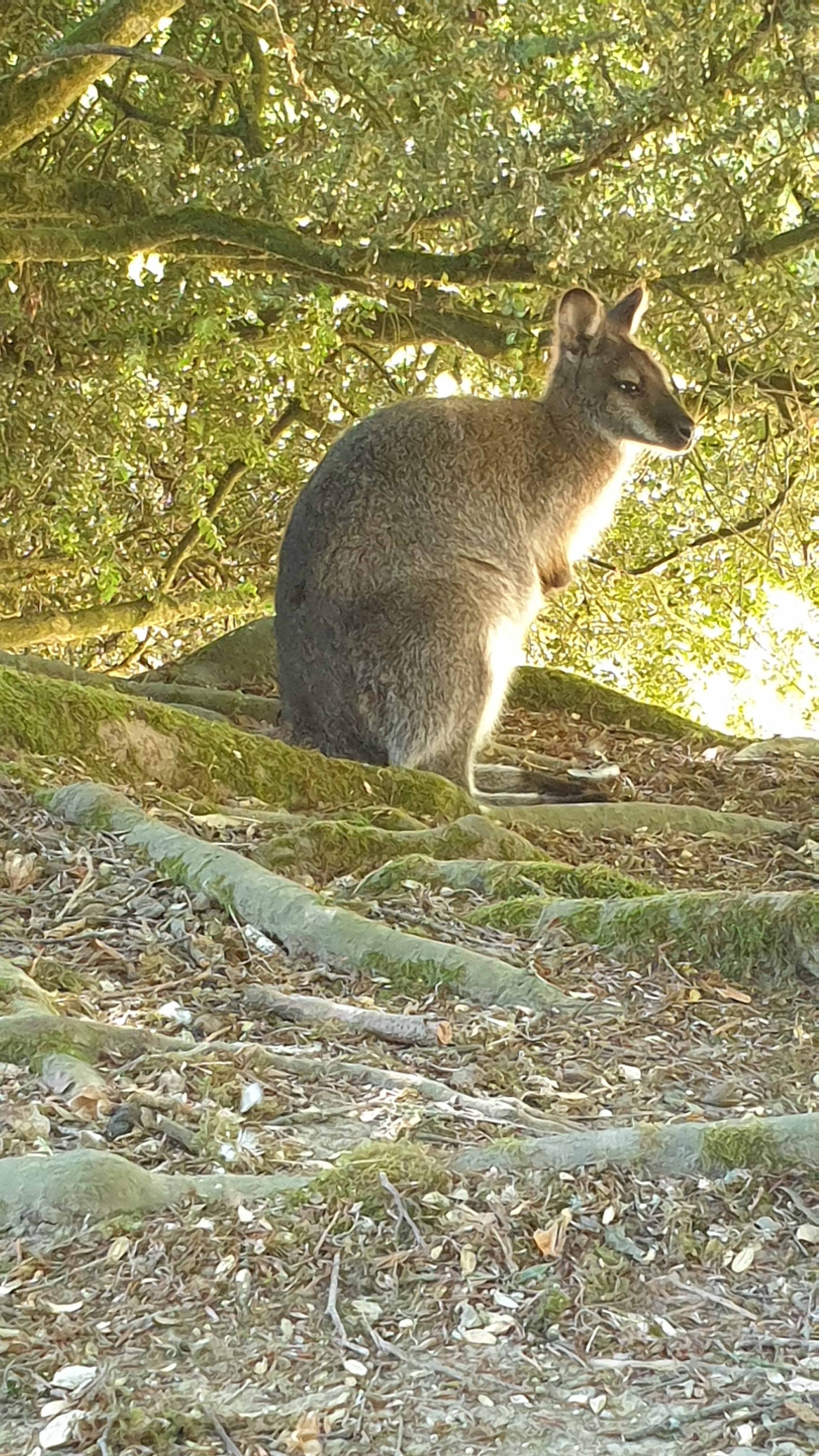 Photo n° 5 de l'avis de Robert.o fait le 09/08/2022 à 13:25