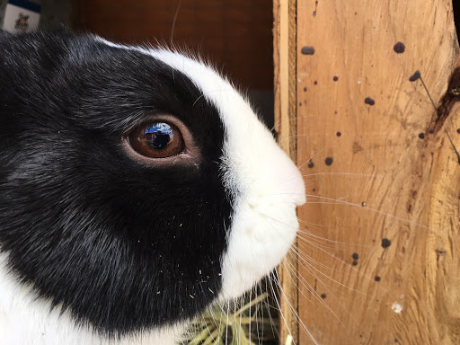 Animal Feed Store «Wardle Feed and Pet Supply», reviews and photos, 7610 3 Acre Ln, Wheat Ridge, CO 80033, USA