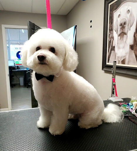 Vanity Furr Grooming