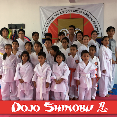 Dojo Shinobu / Karate Do