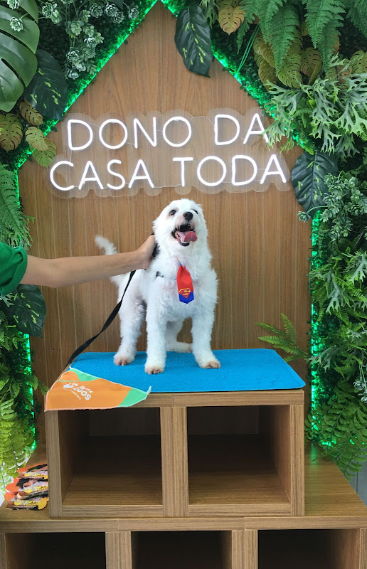 Pet de TODOS — Veterinário em São Paulo, SP
