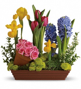 Florist «Floral Impressions», reviews and photos, 4203 W El Prado Blvd # A, Tampa, FL 33629, USA