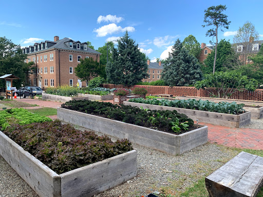 Edible Campus UNC Garden