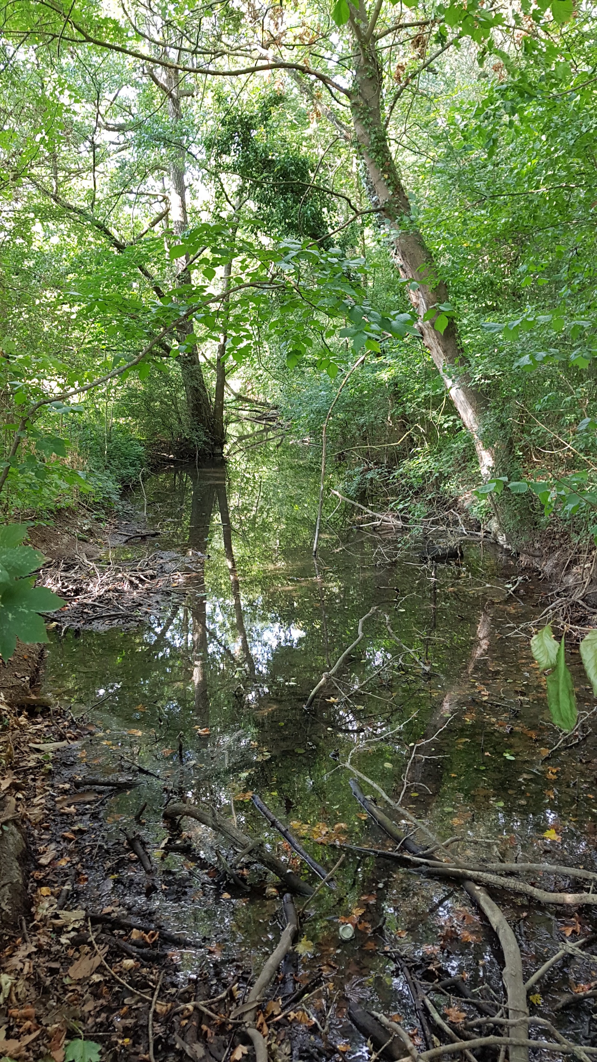 Photo n° 7 de l'avis de Jacques.e fait le 03/09/2018 à 09:34