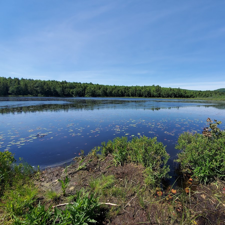Holt Pond Preserve