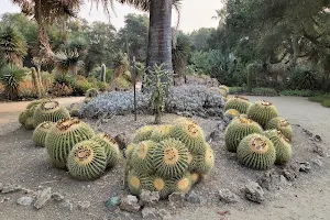 Arizona Garden image