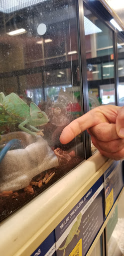 Pet Supply Store «PetSmart», reviews and photos, 1013 W University Ave, Georgetown, TX 78628, USA