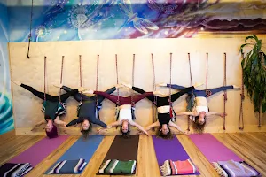 Yoga Center of Denver image