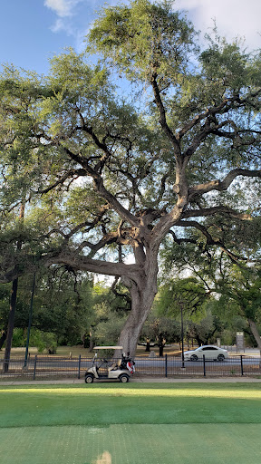 Golf Course «Brackenridge Park Golf Course», reviews and photos, 2315 Avenue B, San Antonio, TX 78215, USA