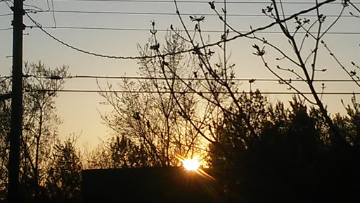 Golf Course «Spring Lake Park Goony Golf Mini Golf», reviews and photos, 1066 County Hwy 10, Spring Lake Park, MN 55432, USA