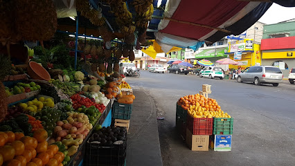 Mercado Adolfo Ruíz Cortines 'La Rotonda'