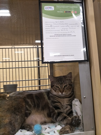 Pet Supply Store «PetSmart», reviews and photos, 14420 Farm to Market 2920, Tomball, TX 77377, USA