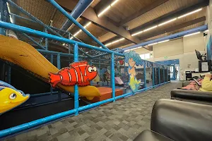 Sharky's Playground image