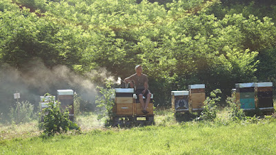 Miels Bio Les Ruchers de l'Albarine Apiculteur Producteur Récoltant Hauteville Ain à Plateau d'Hauteville
