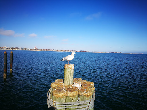 Library «John F. Kennedy Presidential Library and Museum», reviews and photos, Columbia Point, Boston, MA 02125, USA