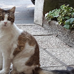 Photo n°1 de l'avis de Elena.o fait le 13/12/2018 à 21:10 sur le  Hotel Elde à Riccione