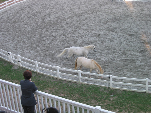 Event Venue «Chastain Horse Park - Special Event Facility», reviews and photos, 4371 Powers Ferry Rd NW, Atlanta, GA 30327, USA