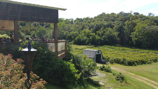 Winery «Falconer Vineyards», reviews and photos, 3572 Old Tyler Rd, Red Wing, MN 55066, USA