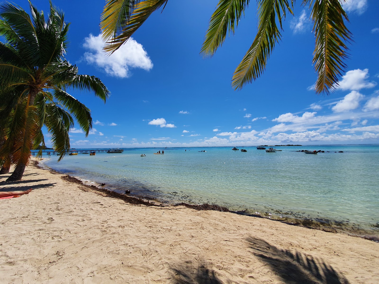 Valokuva Plage des tipaniersista. puhtaustasolla korkea