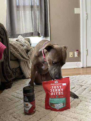 Pet Supply Store «Your Pet Stop», reviews and photos, 501 E 41st St, Sioux Falls, SD 57105, USA