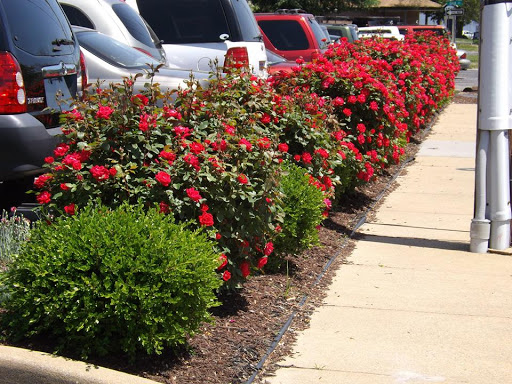 Auto Repair Shop «Peninsula Total Car Care», reviews and photos, 309 E Carroll St, Salisbury, MD 21804, USA