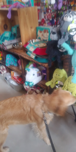 Pet Supply Store «Essex County Co-Op», reviews and photos, 146 S Main St, Topsfield, MA 01983, USA