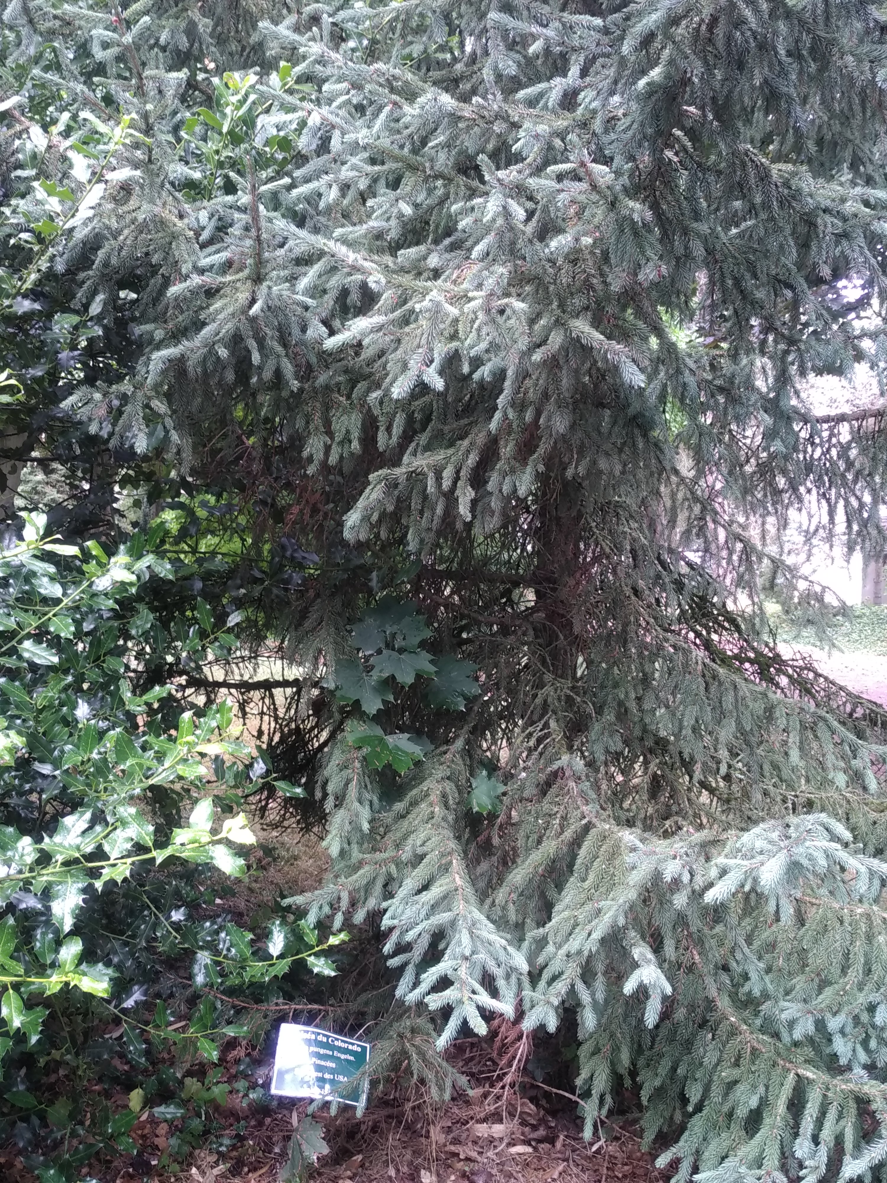Photo n° 16 de l'avis de Céline.u fait le 28/07/2019 à 16:18