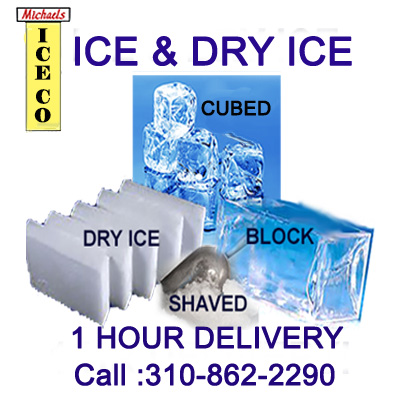 Michaels Ice Company