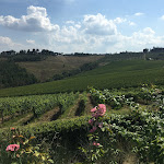Photo n°2 de l'avis de Marie.h fait le 10/04/2019 à 18:50 sur le  Villa il Castagno Wine Resort & Restaurant à Siena