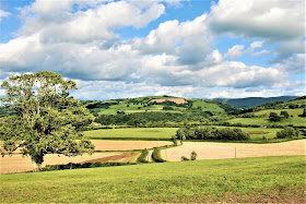 Profile Homes, Estate Agents in Wales