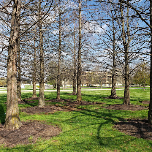 Insurance Agency «GEICO Corporate Office», reviews and photos